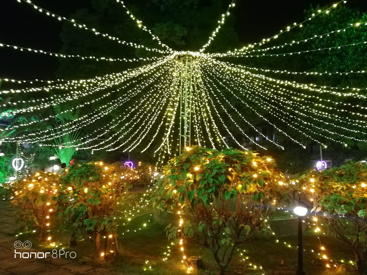 Wedding & Event
